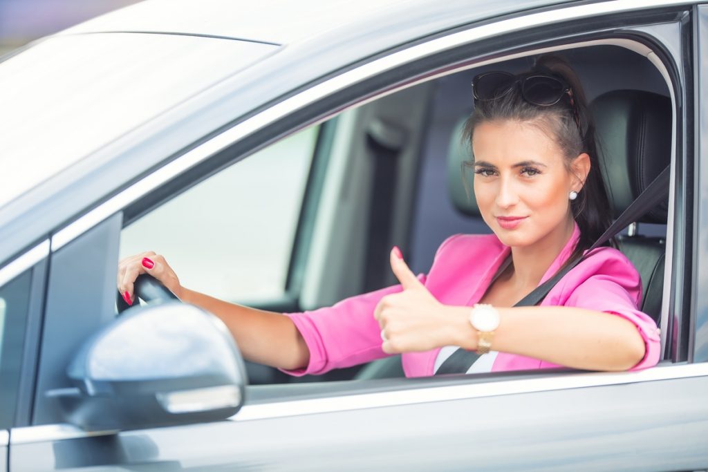 Professional Driving Lessons